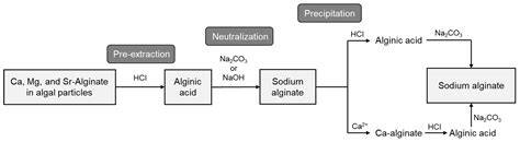 Sustainable and Naturally Derived Wet Spun Fibers: A Systematic ...