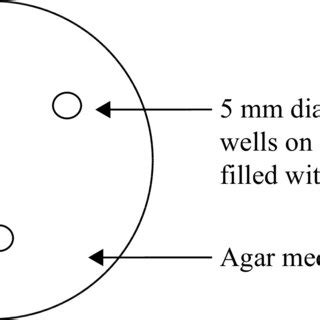Image result for Agar Plug Diffusion Method