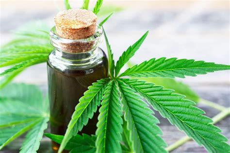 Bildergebnis für Cannabidiol