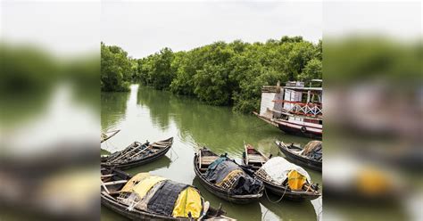 Piyali Island: Untouched Island Near Kolkata For A Weekend Trip I LBB