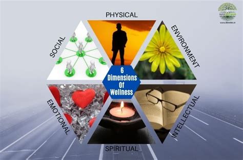 The 6 Dimensions Of Wellness | Life Within