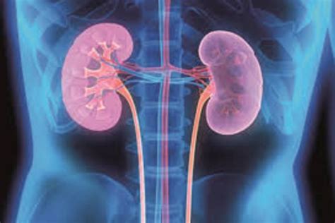 Kidney disease linked to higher death risk for Covid-19 patients: Study
