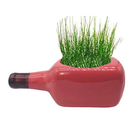 India Meets India Ceramic Bottle Shaped Planter [Red Color], Decorative ...