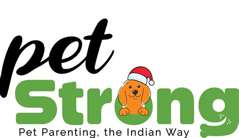 Dachshund - Diet, Supplements, Wellness & Grooming Tips – PetStrong