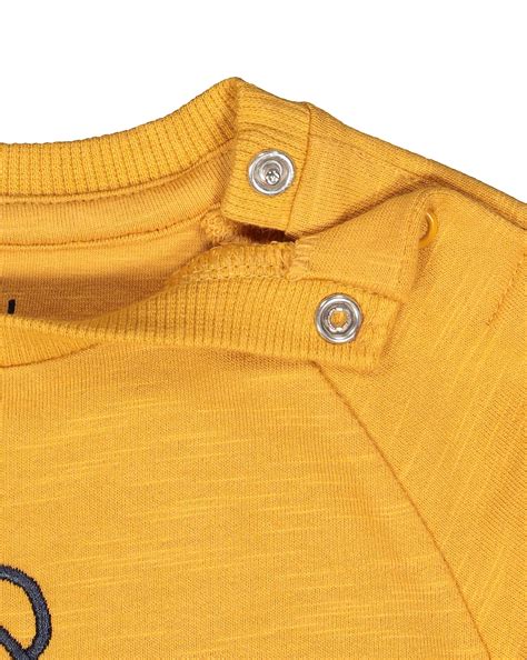 Buy Boys Full Sleeves Sweatshirt Dino Embroidery - Yellow Online at ...