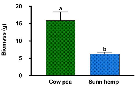 Impact of Cover Crops on Insect Community Dynamics in Organic Farming