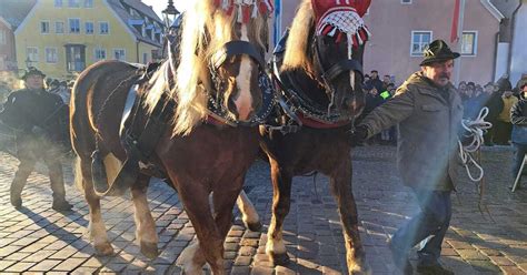 Traditioneller Pferde-Auftrieb am Berchinger Rossmarkt gestartet ...