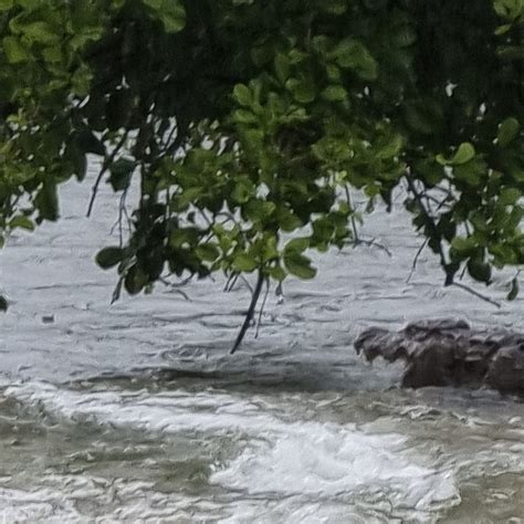 JAMJIR RETREAT FARM HOUSE (Kansariya) - B&B Reviews & Photos - Tripadvisor