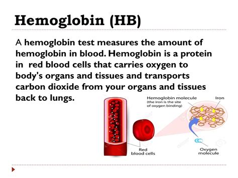 PPT - Blood Tests PowerPoint Presentation, free download - ID:8829182
