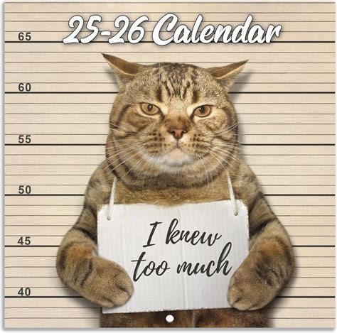 Amazon.com: 2025-2026 Wall Calendar - July 2025 - December 2026, Funny ...