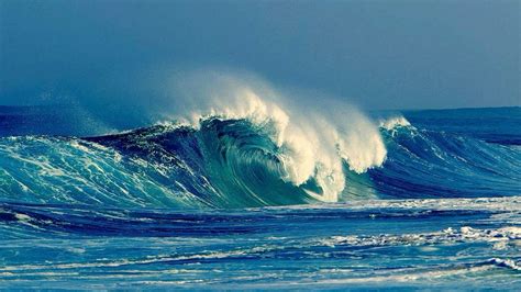 Crest of a wave – Artofit