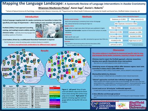 Image result for Language Mapping Awake