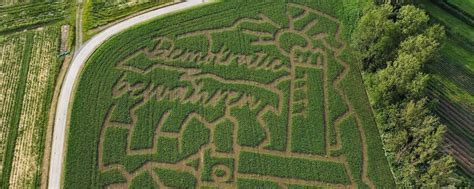 Landwirt sät politische XXL-Botschaft ins Maisfeld – mit diesen Zielen ...