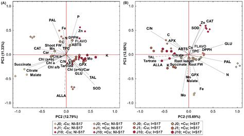 Bacterial Isolate Inhabiting Spitsbergen Soil Modifies the ...