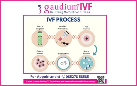 IVF Procedure Explained 的图像结果