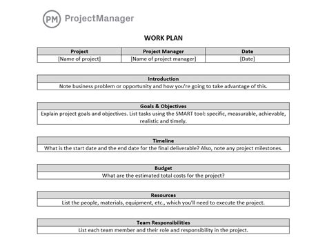 Project Management Work Plan Template 的图像结果