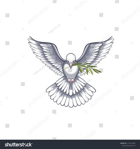 Dove Olive Branch Symbol Peace Concept Stock Vector (Royalty Free) 1716415483 | Shutterstock