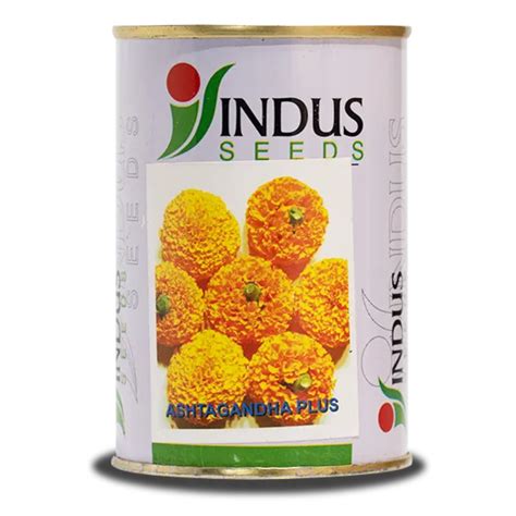 Ashtagandha Plus Marigold Seeds - Indus | F1 Hybrid | Buy Online Now ...