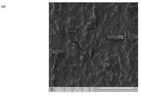 Coatings | Special Issue : Advances in Medical Device Coatings