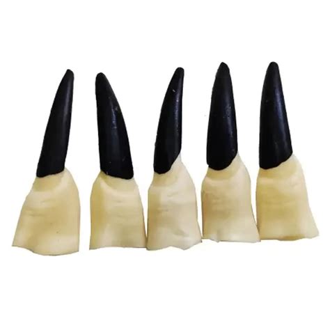 Fancydresswale Halloween Party Props for Horror Ghost Halloween Party ...