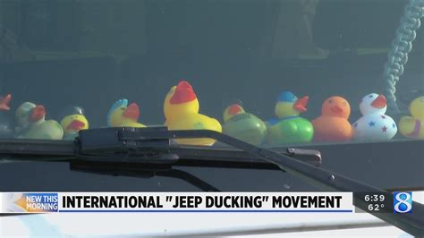 Ducks on the dash: Jeep ducking continues to grow in popularity ...