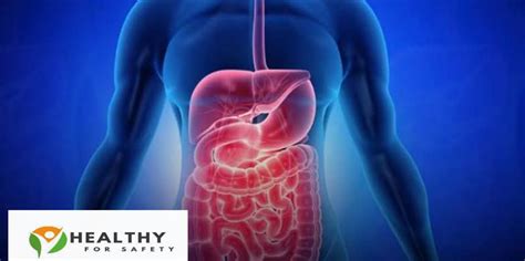 Common Digestive Disorders 的图像结果