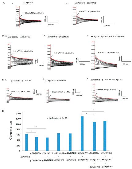 KCNQ2 Selectivity Filter Mutations Cause Kv7.2 M-Current Dysfunction ...