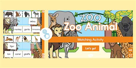 Zoo Match Game | Animals | Twinkl USA (teacher made)