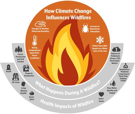 Face-to-face with scorching wildfire: potential toxicant exposure and the health risks of smoke ...