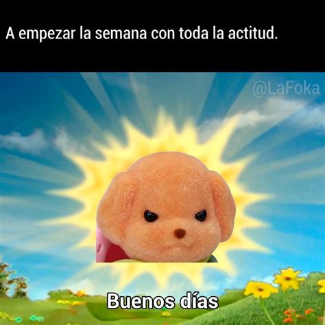 Pin de Wang en MEMES | Imágenes divertidas, Imágenes graciosas ...