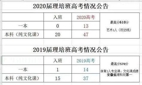 铜陵市正阳高级中学2020年高考成绩报告 - 铜陵一中