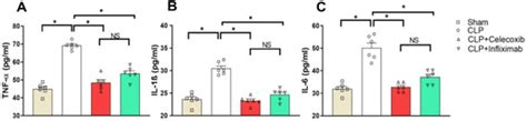 Effect of Celecoxib and Infliximab against Multiple Organ Damage ...