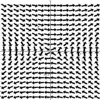 Vector Field of Linear Operator 的图像结果