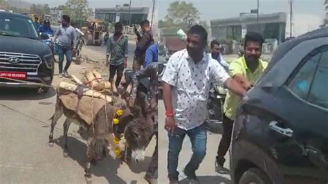 Hyundai Creta being pulled by Donkeys frustrated car owner demonstrates ...
