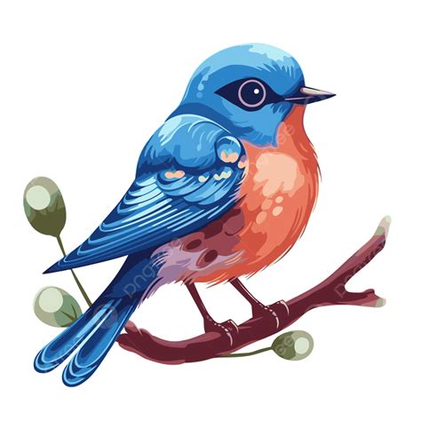 Bluebird Clip Art Of Large Eastern Bluebird Vector Art, Icons, And