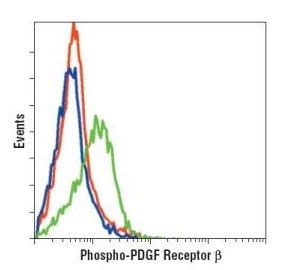 PhosphoDetect Anti-PDGFRβ(pTyr⁷⁵¹) Rabbit pAb liquid, Calbiochem®