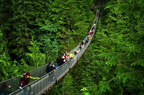 14 Fantastic Places You Have To Visit In Vancouver, Canada - Hand Luggage Only - Travel, Food ...