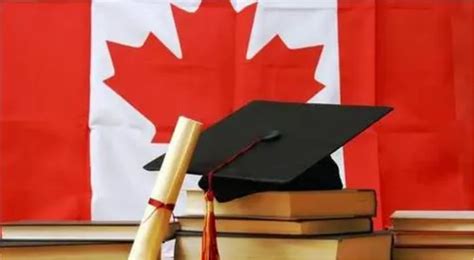 补办加拿大文凭学历|约克大学学位证办理|加拿大York学位证购买 - 蓝玫留学机构