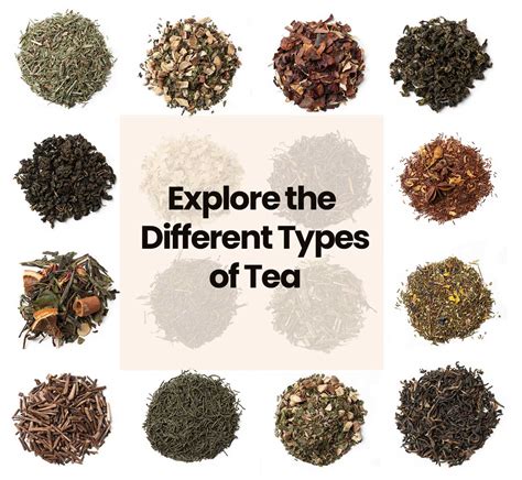 The Ultimate Guide to The Different Types of Tea