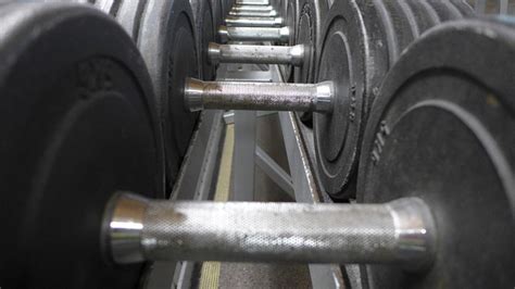 Muscle Building Workout Plan For Beginners