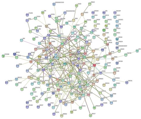 STRING Database Tutorial 的图像结果