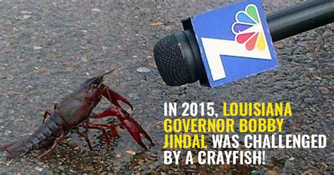 Meet The 13 Animals Who Ran For Office And Gave Humans Stiff Competition