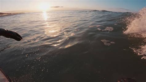 Surfing 的图像结果