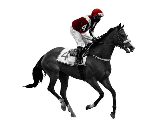 Horse Racing Data & Odds API | Stats, Scores & more – OddsMatrix