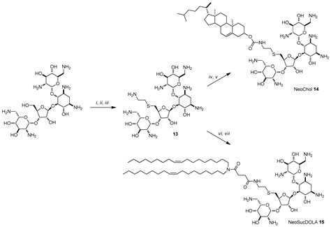 Aminoglycosides: From Antibiotics to Building Blocks for the Synthesis ...