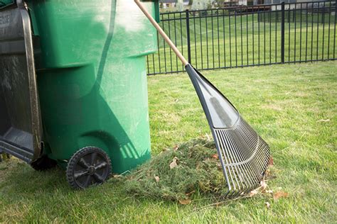 Image result for Yard Waste Disposal