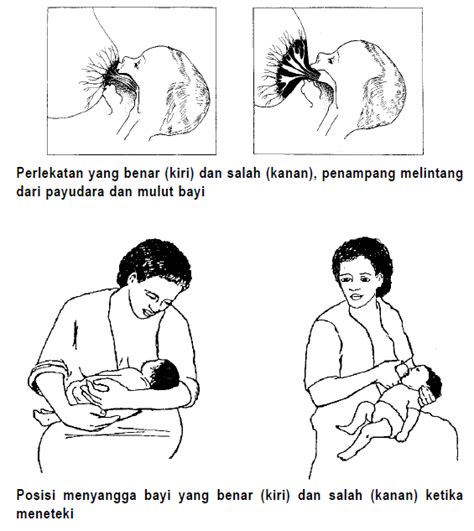 Videotutorial Menyusui 的图像结果