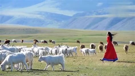 《可可托海的牧羊人》原唱 王琪,音乐,民俗音乐,好看视频