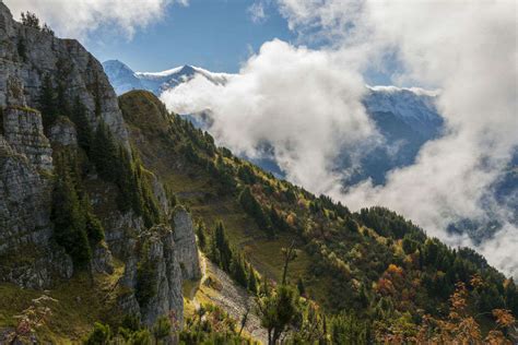 Schynige Platte, Schynige Platte - TimesTravel