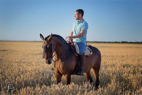 Hombre montado a caballo en un campo de trigo y mirando al horizonte ...